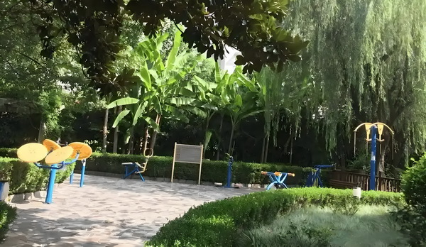 怎么签入深圳户口_陈佩斯电影《戏台》：嬉笑过后，无尽悲凉 保护这段法律婚姻就受